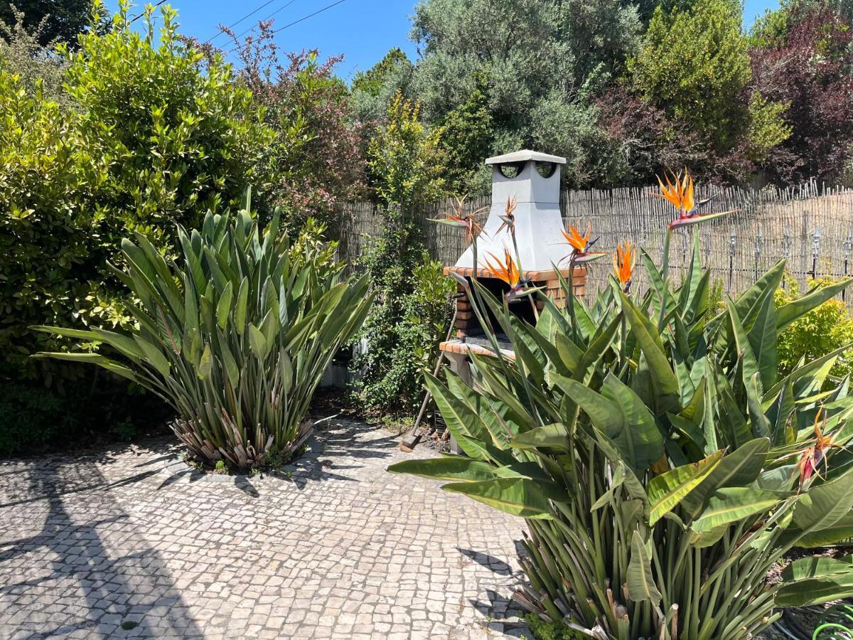 Casa Pausa Sesimbra Holiday Home Exterior photo